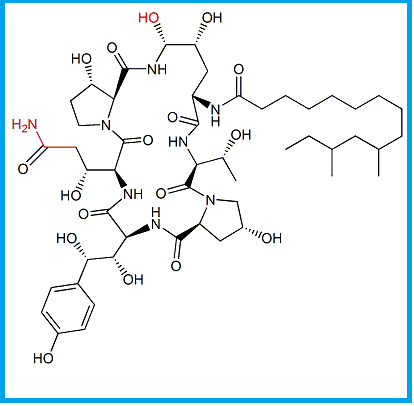  CASPOFUNGIN PNEUMOCANDIN B0 IMPURITY